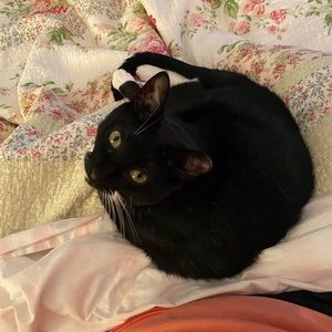 Meet your Posher, Tami